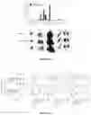Fig. 07 - RENAL CLEARABLE DRUG DELIVERING NANOPARTICLES AND METHODS OF USE THEREFOR