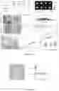 Fig. 09 - RENAL CLEARABLE DRUG DELIVERING NANOPARTICLES AND METHODS OF USE THEREFOR
