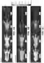 Fig. 06 - IR DYES FOR FLUORESCENCE IMAGING