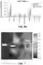 Fig. 10 - IR DYES FOR FLUORESCENCE IMAGING