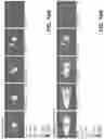 Fig. 13 - IR DYES FOR FLUORESCENCE IMAGING
