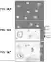 Fig. 16 - IR DYES FOR FLUORESCENCE IMAGING