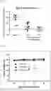 Fig. 13 - Aryl ethene derivative and pharmaceutical composition containing same as active ingredient