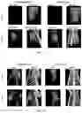 Fig. 08 - Imaging agents and methods of use
