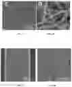 Fig. 03 - Tissue substitute multilayer matrix and uses thereof