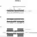 Fig. 06 - Use of self-assembling polypeptides as tissue adhesives