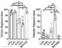 Fig. 01 - Synthetic hydrogel carriers for cellular structures, generation of organoids, and treatment of tissue injury