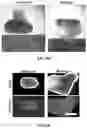 Fig. 07 - Synthetic hydrogel carriers for cellular structures, generation of organoids, and treatment of tissue injury
