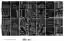 Fig. 09 - Synthetic hydrogel carriers for cellular structures, generation of organoids, and treatment of tissue injury