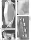 Fig. 07 - BIODEGRADABLE SILK EAR TUBES