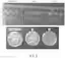 Fig. 11 - BIODEGRADABLE SILK EAR TUBES