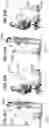 Fig. 22 - Breast pumps