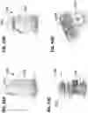 Fig. 49 - Breast pumps