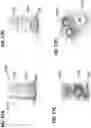 Fig. 53 - Breast pumps