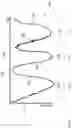 Fig. 07 - Vibratory waveform for breast pump