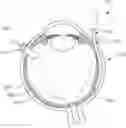 Fig. 01 - Apparatus for subretinal administration of therapeutic agent via a curved needle