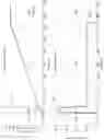 Fig. 07 - Rotary motor based transdermal injection device