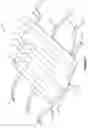 Fig. 02 - A Blanket for Venipuncture