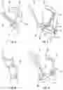 Fig. 04 - Assembly for nasal dispensing of fluid product