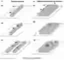 Fig. 09 - Antifouling urinary catheters with shape-memory topographic patterns