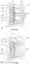 Fig. 08 - Methods for treating cancerous tumors