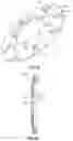 Fig. 09 - Septum securement