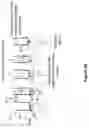 Fig. 05 - METHODS AND APPARATUS FOR SUPPORTING MICRONEEDLES