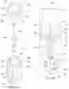 Fig. 04 - Drug delivery device and methods having a retaining member