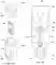 Fig. 05 - Drug delivery device and methods having a retaining member