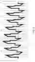 Fig. 07 - Differential charge-balancing during high-frequency neural stimulation