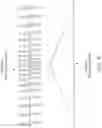 Fig. 11 - Neuromodulation using modulated pulse train