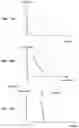 Fig. 26 - Electromyographic lead positioning and stimulation titration in a nerve stimulation system for treatment of overactive bladder