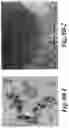 Fig. 14 - Non-invasive energy upconversion methods and systems for in-situ photobiomodulation