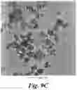 Fig. 15 - Non-invasive energy upconversion methods and systems for in-situ photobiomodulation