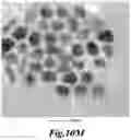 Fig. 35 - Non-invasive energy upconversion methods and systems for in-situ photobiomodulation