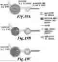 Fig. 49 - Non-invasive energy upconversion methods and systems for in-situ photobiomodulation