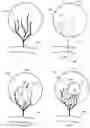 Fig. 21 - Methods and devices for treating vascular related disorders