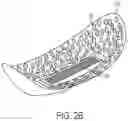 Fig. 04 - Transfection and drug delivery