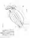 Fig. 14 - Exercise tubing for high intensity interval training and methods of use