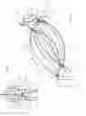 Fig. 16 - Exercise tubing for high intensity interval training and methods of use