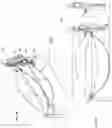 Fig. 19 - Exercise tubing for high intensity interval training and methods of use