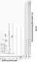 Fig. 20 - Hockey stick with variable stiffness shaft