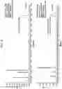 Fig. 09 - Mobile phase controller for supercritical fluid chromatography systems
