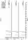 Fig. 10 - Mobile phase controller for supercritical fluid chromatography systems