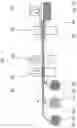 Fig. 11 - Filter element and filter module comprising same