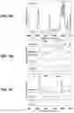 Fig. 04 - Nanostructured polyelectrolytes for ion-selective membranes