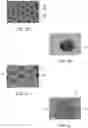 Fig. 13 - Instruments, modules, and methods for improved detection of edited sequences in live cells