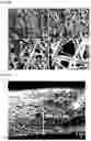 Fig. 05 - Filter medium with improved backwashing durability, method for manufacturing same, and filter unit comprising same