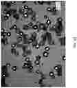 Fig. 34 - Methods and Systems for Forming Microcapsules