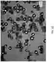Fig. 34 - Methods and Systems for Forming Microcapsules